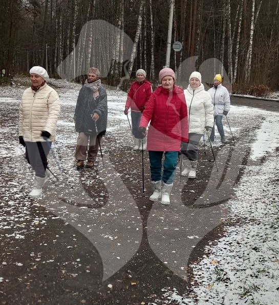Школа долголетия. Занятия северной ходьбой