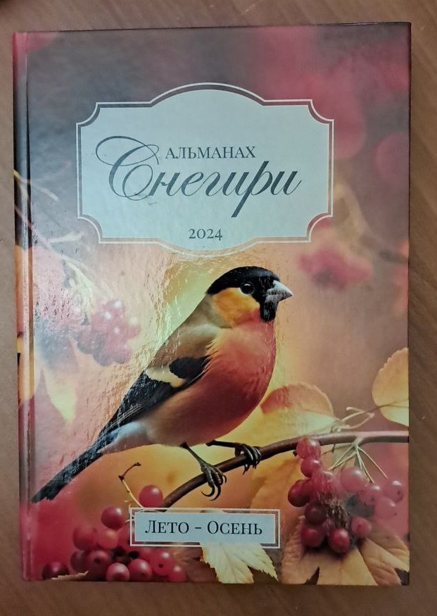 Клуб интеллектуального досуга. Презентация юбилейного сборника ЛИТО «СНЕГИРИ»