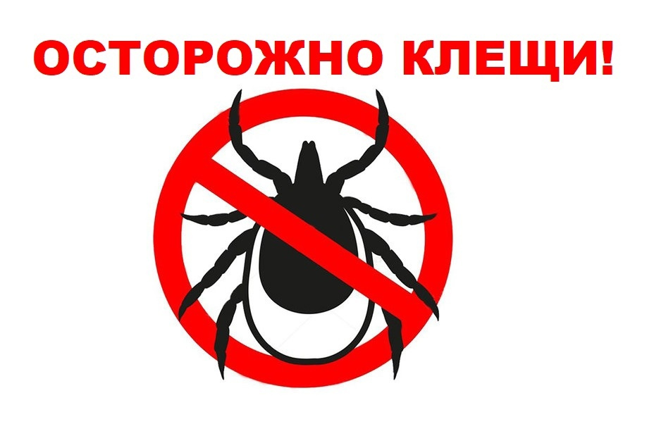 Школа безопасности. Что делать, если укусил клещ?