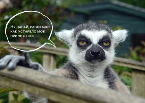Как не лишиться доступа к телефону при обновлении банковского приложения