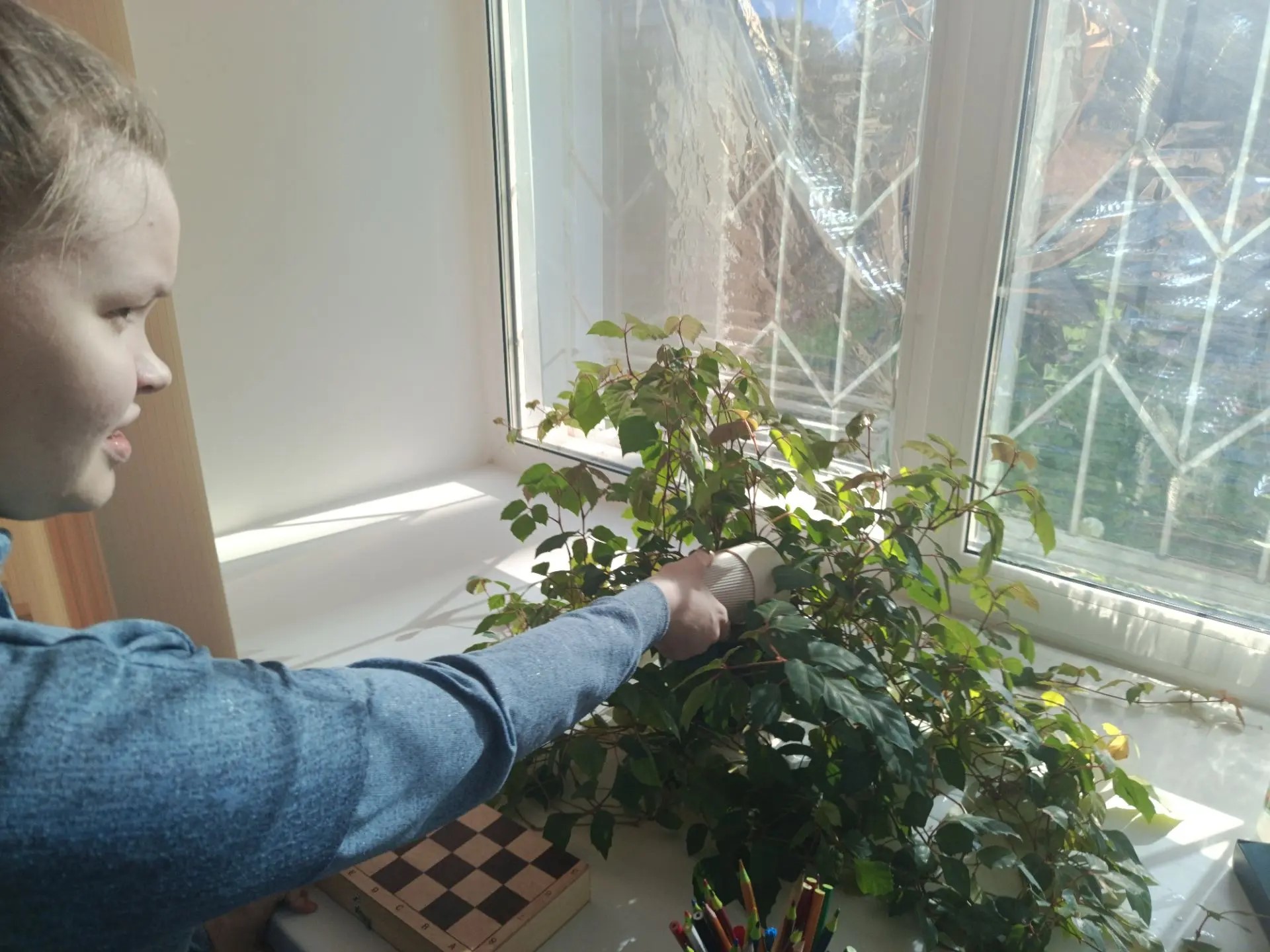 Уроки домашнего мастерства: учимся ухаживать за растениями