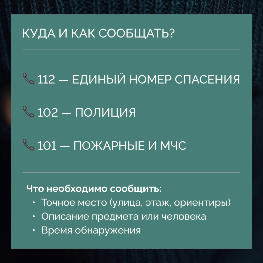 c9fe0670-ad00-4e0c-b4ee-378ec6d79537.jpg