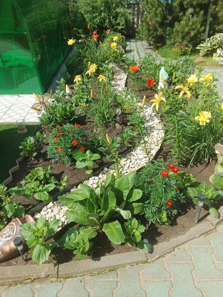 Ловим моменты лета! ☀